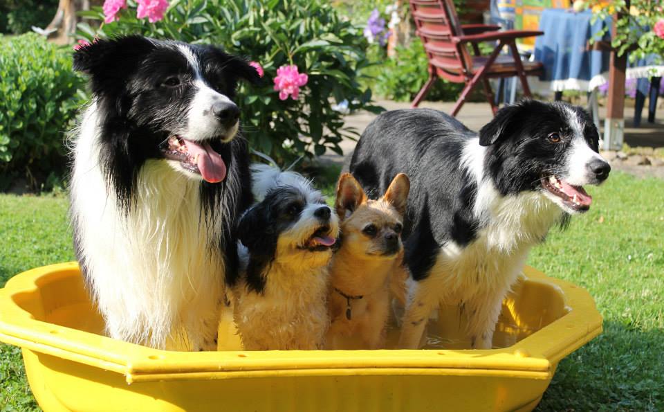 995900_526553677399900_1453277373_n