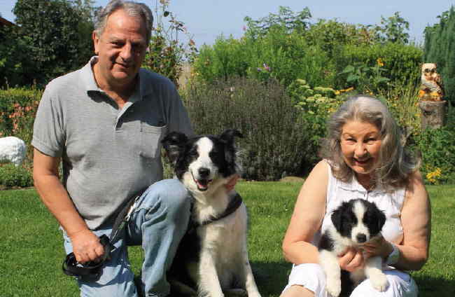 Absolutly Kap Abschied HP