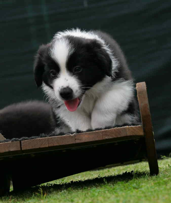 Absolutly Kap toll 2