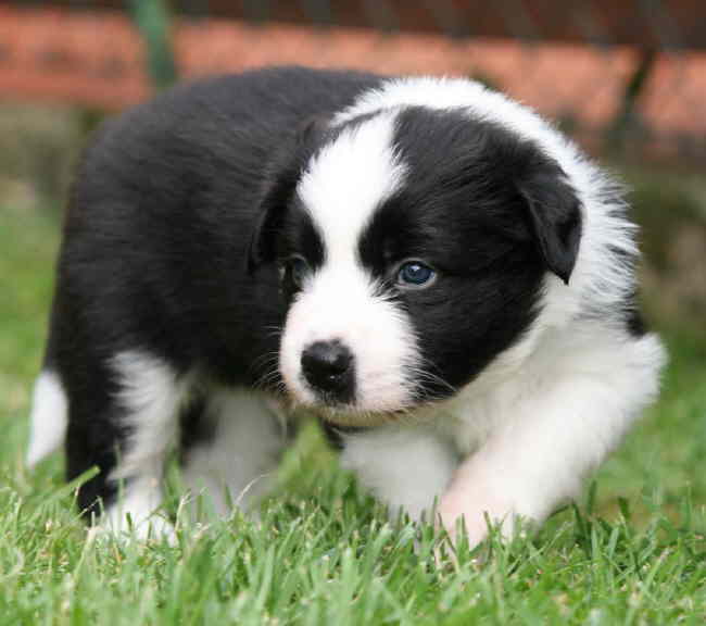 Absolutly Kap toll 3