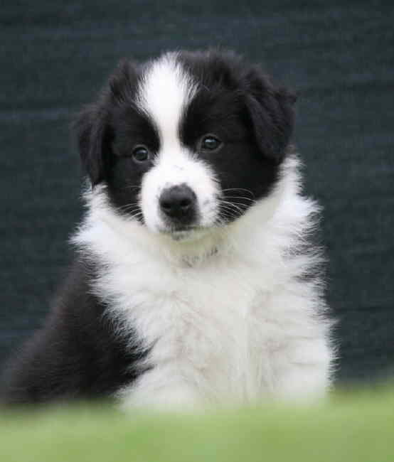 Absolutly Kap toll 4 klein