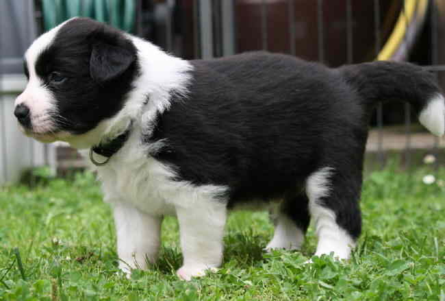 Absolutly Kap toll 5