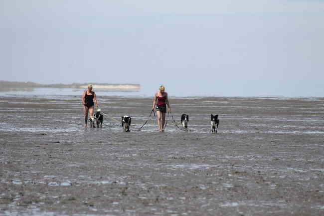 Kerstin, Melli im Watt