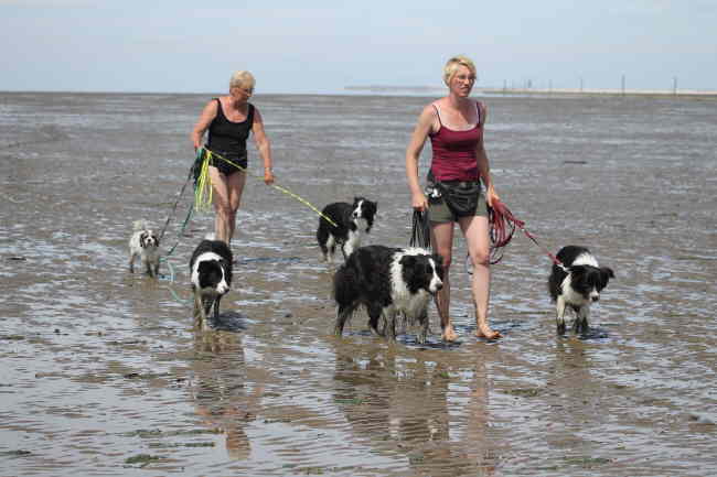 Kerstin, Melli im Watt 1