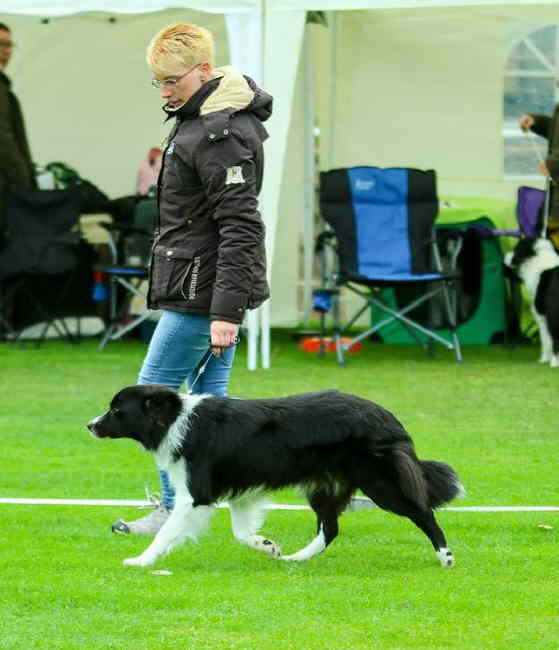 Melli und Believe im Ring 2