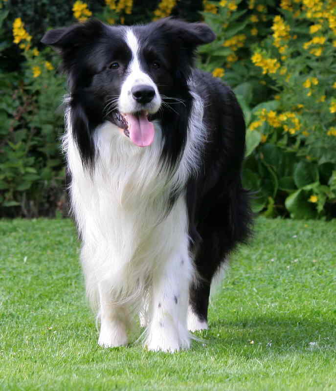 Moony Stand vorne toll 3 gro