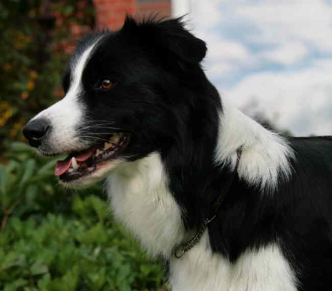 Renya Kopf toll 1 klein2