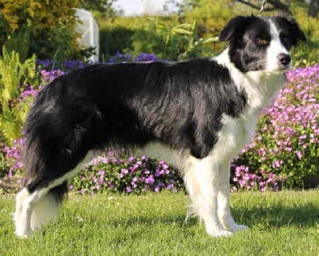 Renya Stand toll 1 HP klein