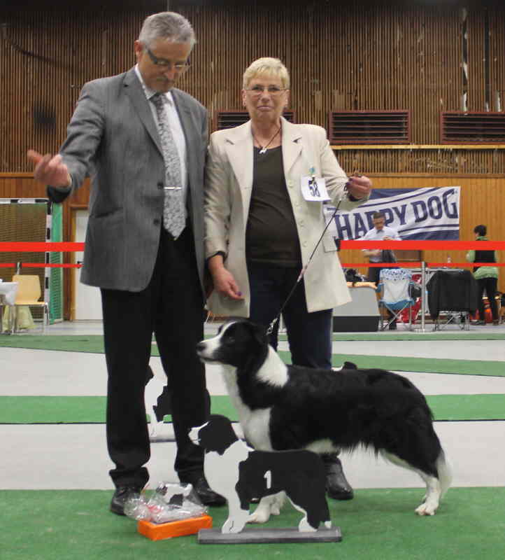 Renya Tagesbeste Melli