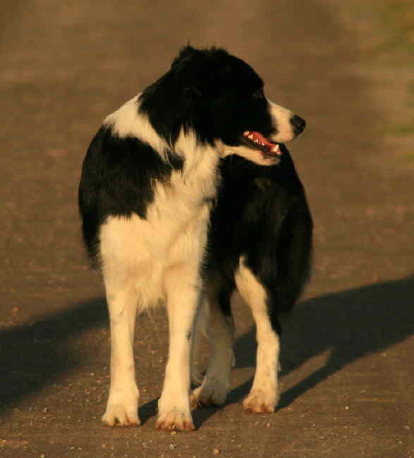 Renya steht vorne toll 1