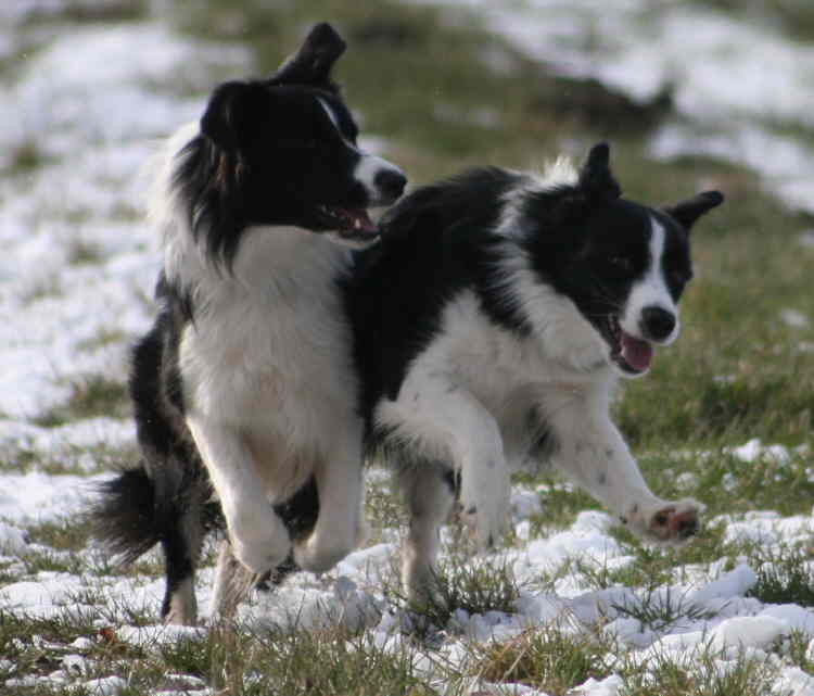 Renya und Lynn toll 1