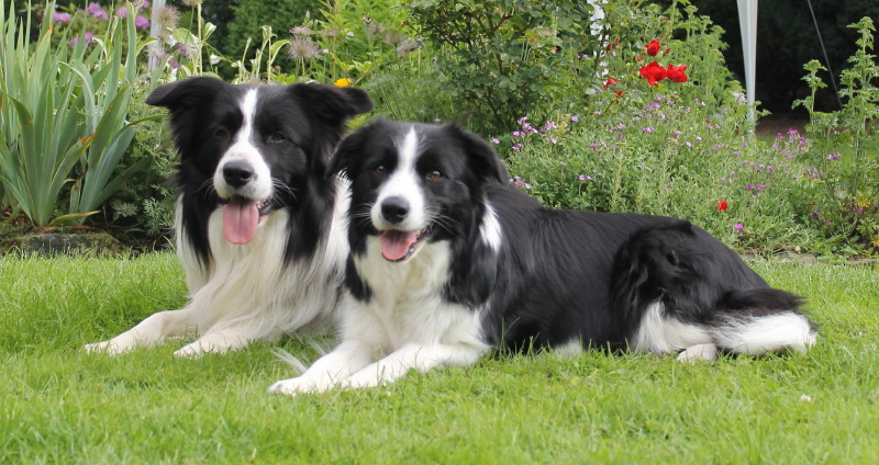 Stolzewerdende Eltern