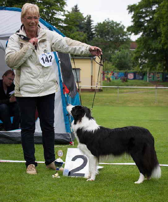 Summer steht Platz 2 HP