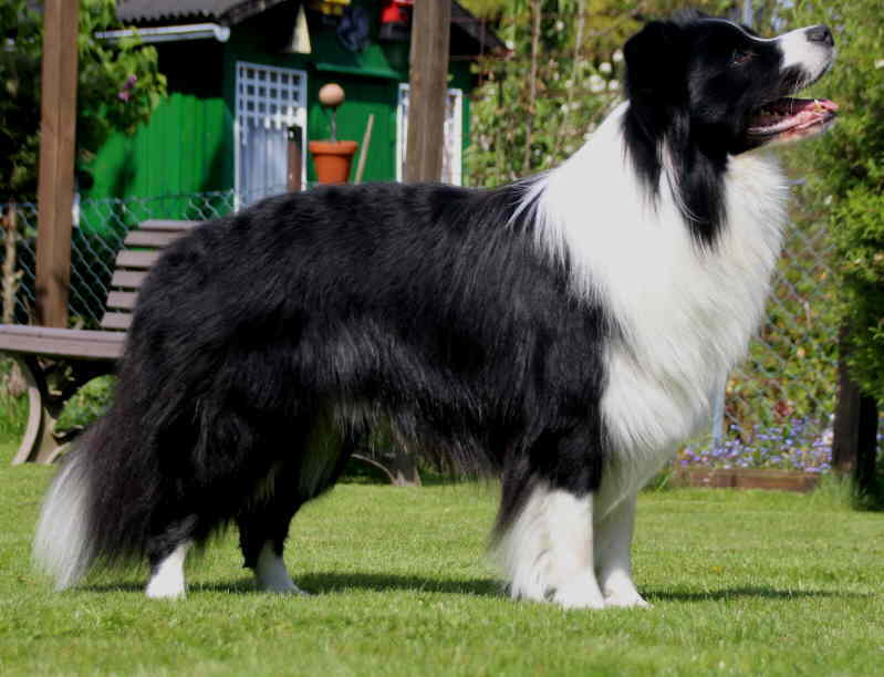 Trouble Stand Seite 2