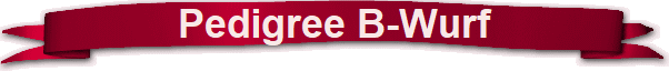 Pedigree B-Wurf