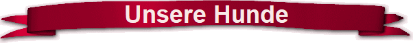 Unsere Hunde