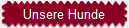 Unsere Hunde