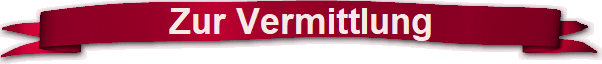Zur Vermittlung